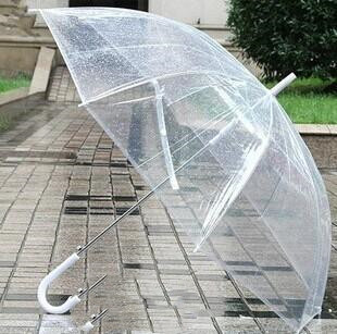 ClearSky™ Transparent Umbrella