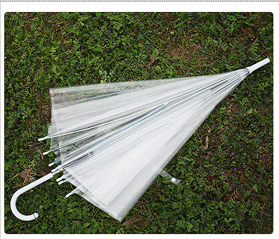 ClearSky™ Transparent Umbrella